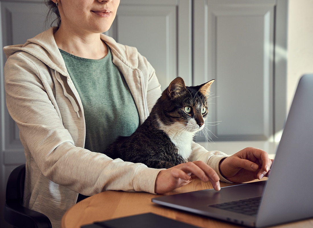 Personal Insurance - Woman With Cat Sitting on Her Lap is Working on Her Laptop at Home